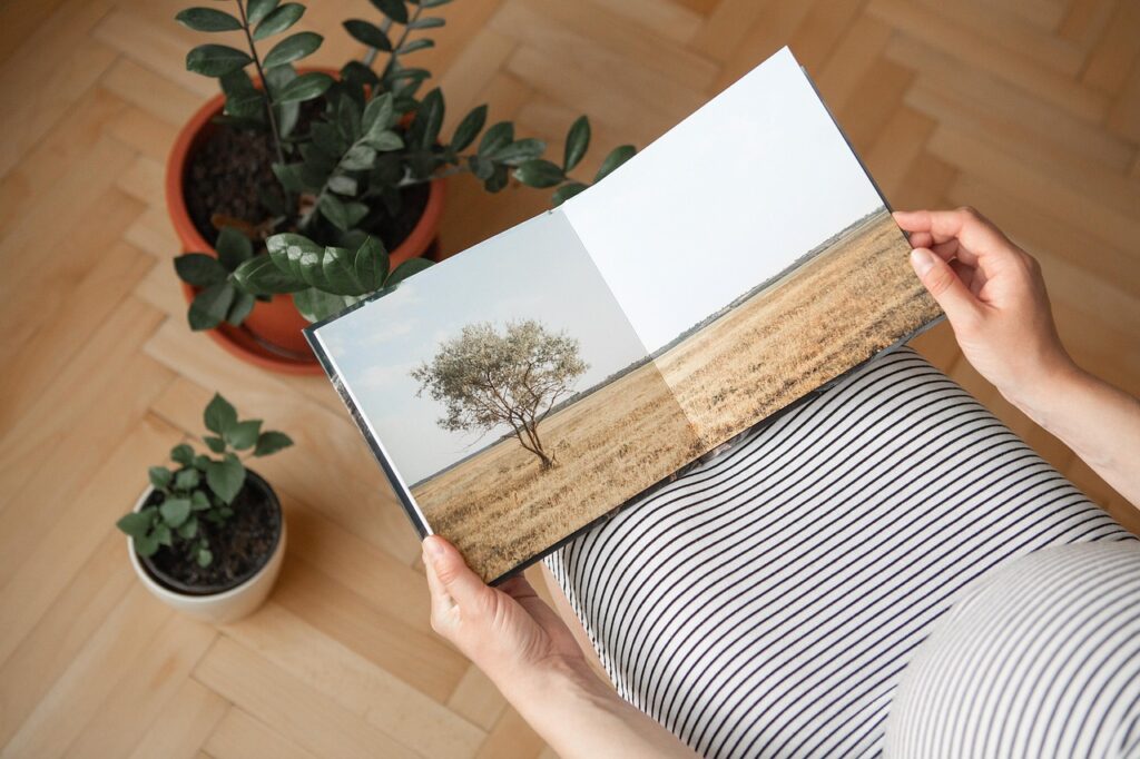 book, photography, vacation, print, garden, nature